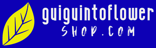 Guiguinto Flower Shop